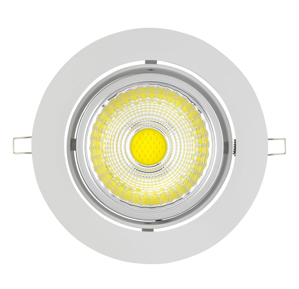 15W LED Downlight