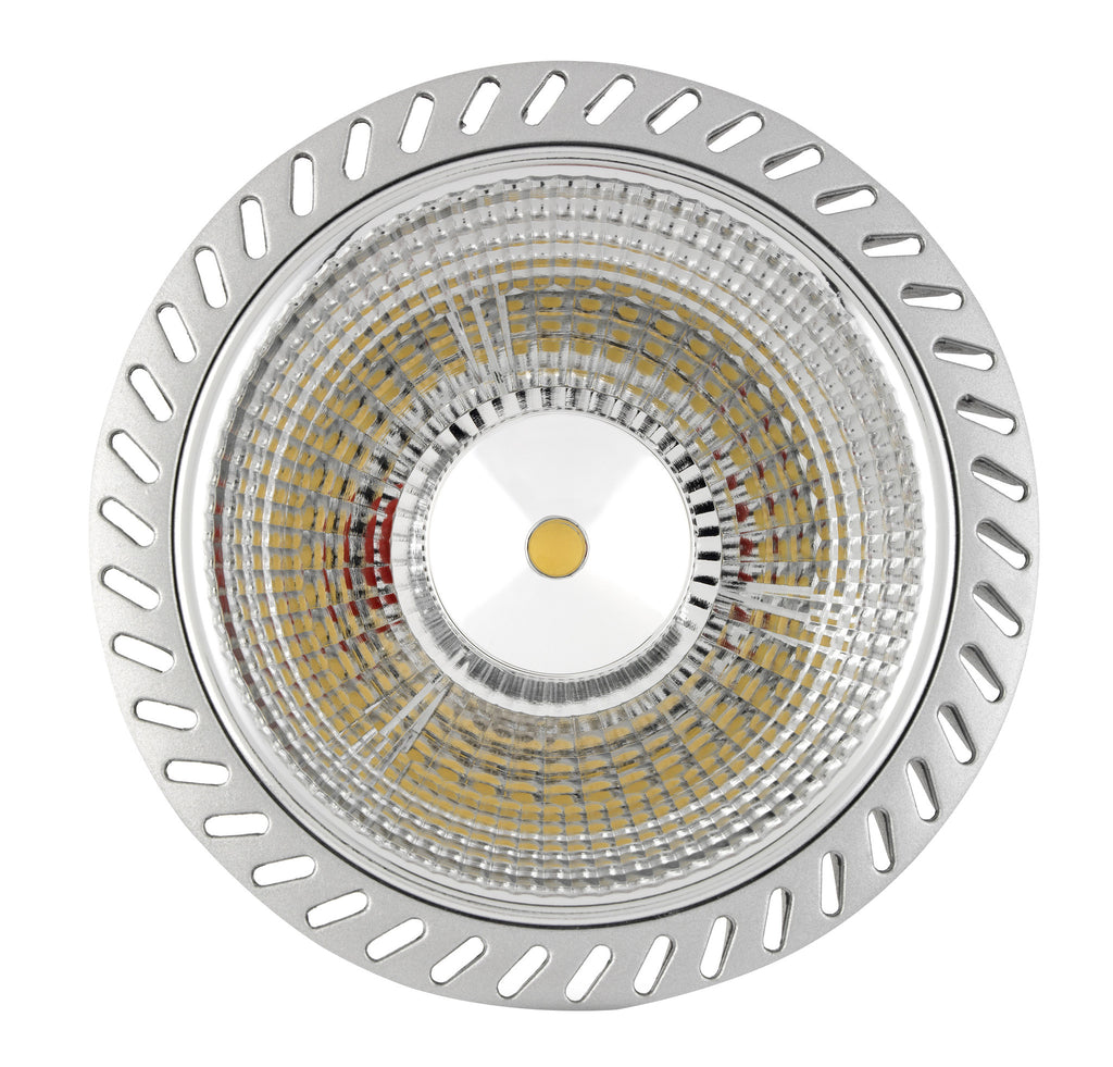 PAR38 LED Lamps